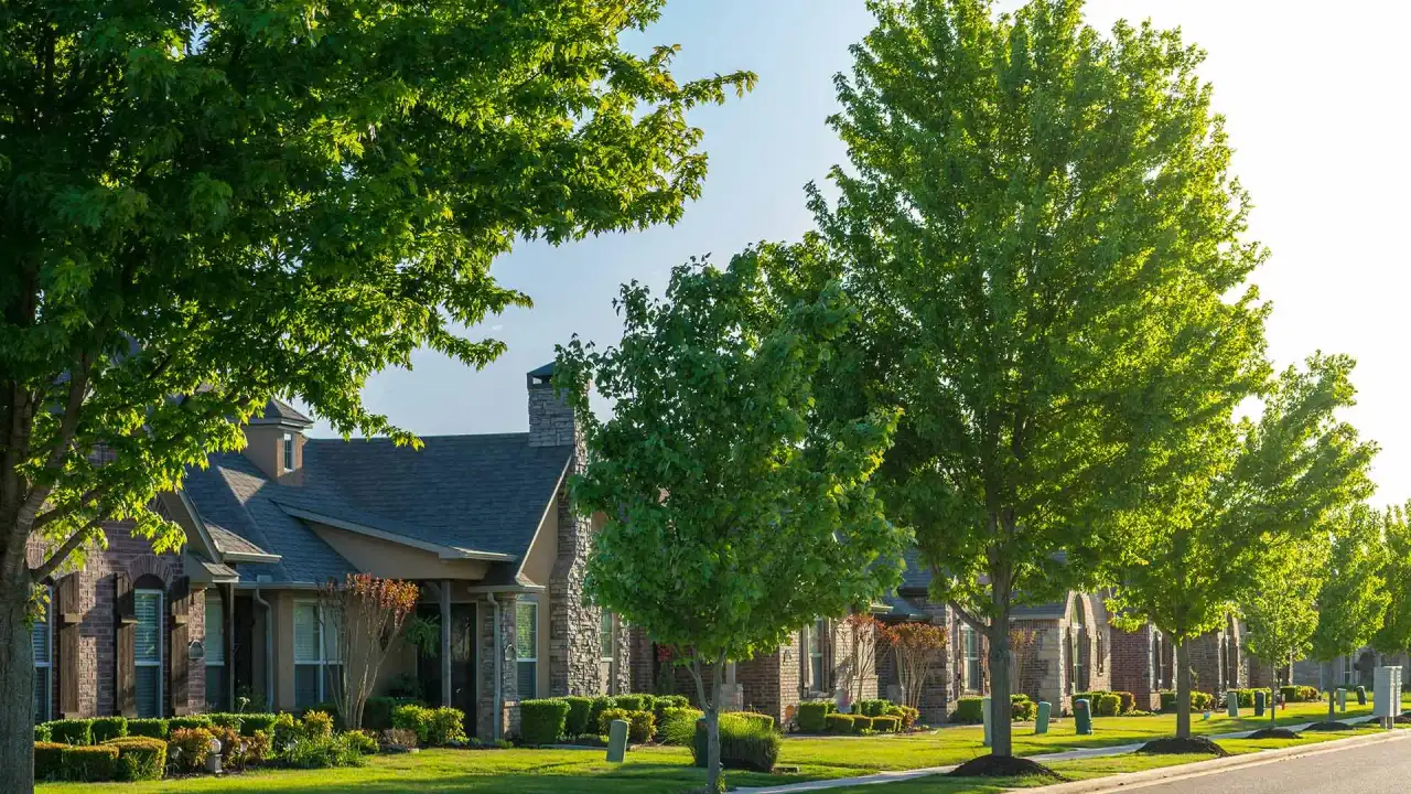 Neighborhood view with mature trees and greenery in Fort Worth