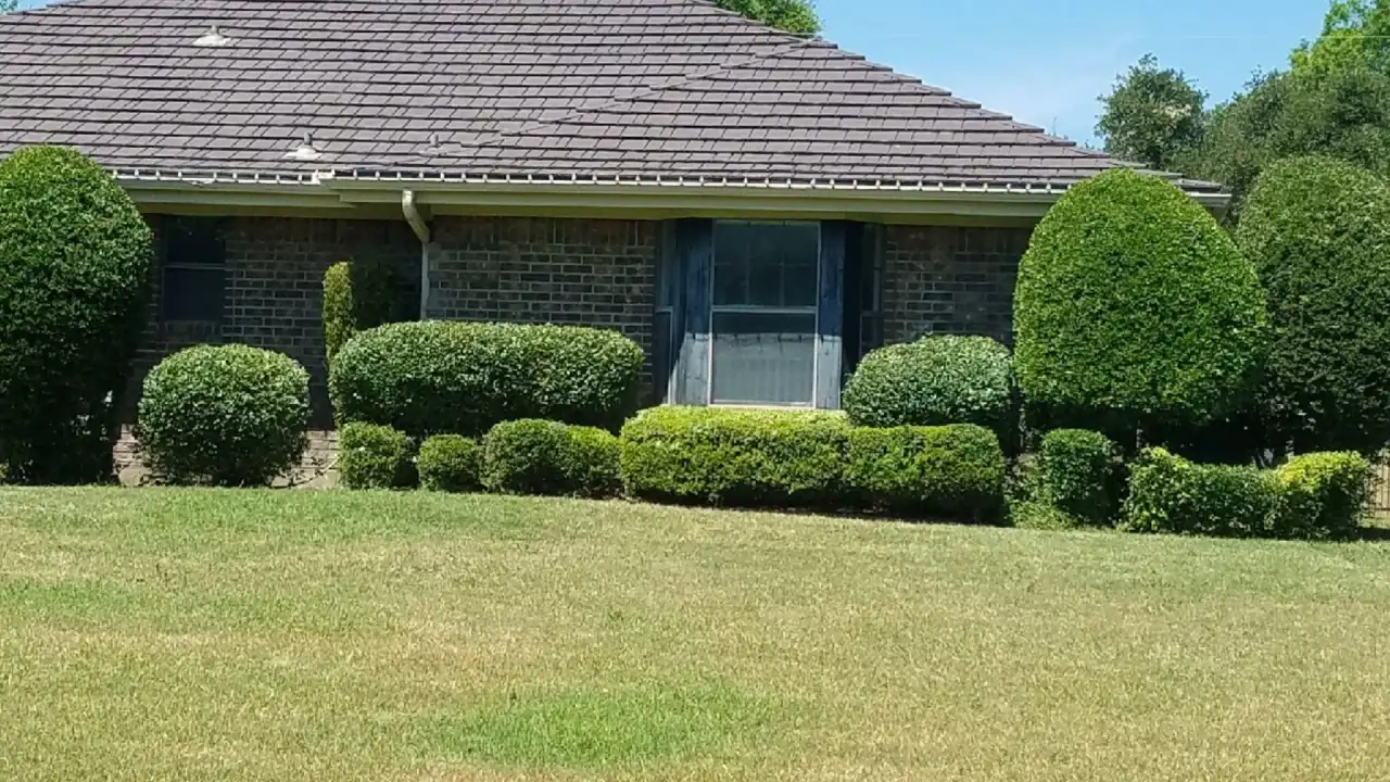 House with green lawn and shrubs in Fort Worth