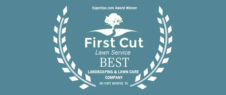 Best in Fort Worth Award from Expertise.com