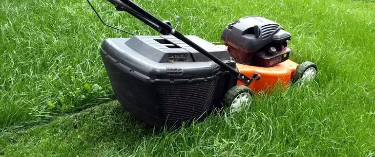 Lawn mower cutting tall grass to reduce flea and tick hiding spots