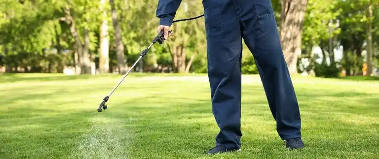 Pest control professional spraying flea and tick treatment