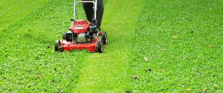 Person pushing a lawn mower and mulching grass clippings
