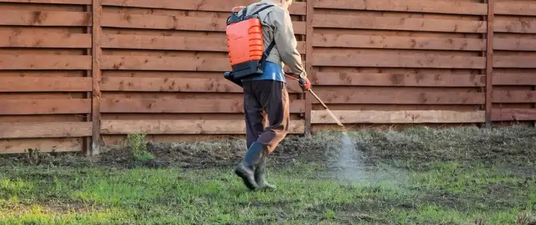 Professional applying insect control treatment to lawn