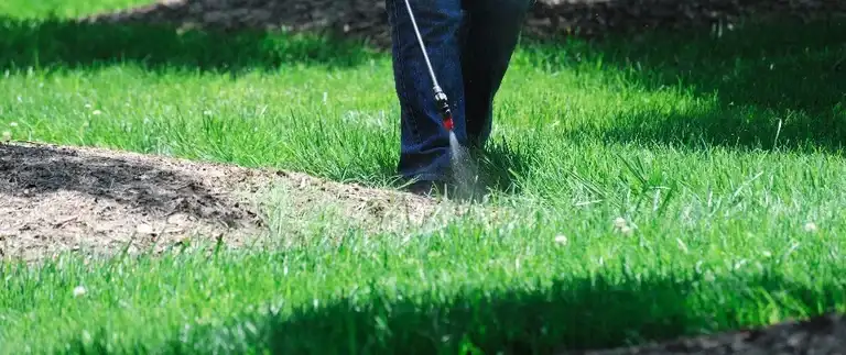 Worker spraying pre-emergent weed control treatment to lawn