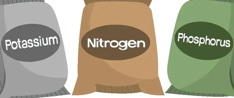 Potassium, nitrogen, and phosphorus fertilizer nutrients for lawn care