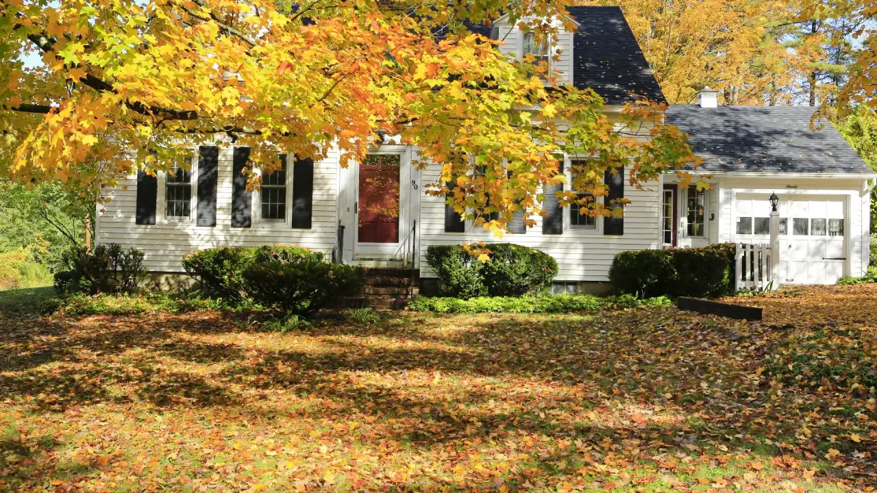 Fort Worth home with a yard full of fall leaves during the fall planting season
