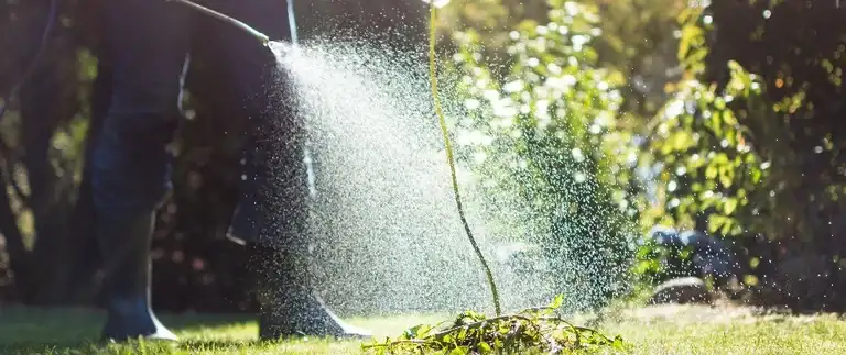 Spraying post-emergent weed control directly onto a weed
