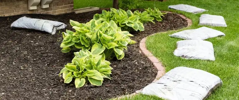 Brown mulch in landscape beds