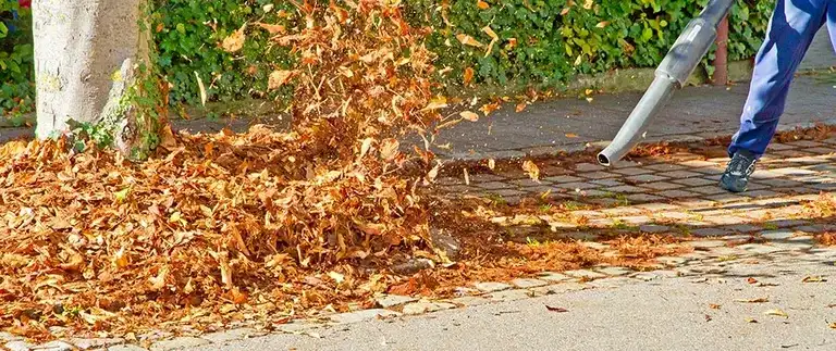 Worker using a backpack blower to clear fallen leaves from a driveway