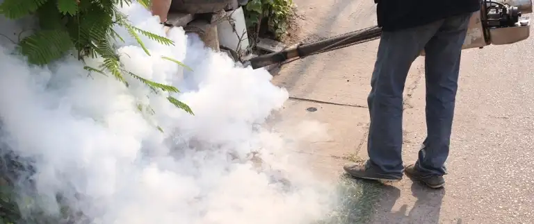 Technician using backpack fogger for mosquito control along landscaping in Saginaw, TX