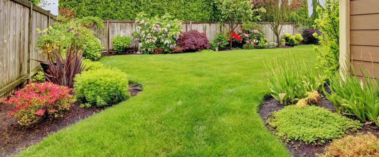 June Lawn Care Checklist for Fort Worth: What to Do Before the Real Heat Hits