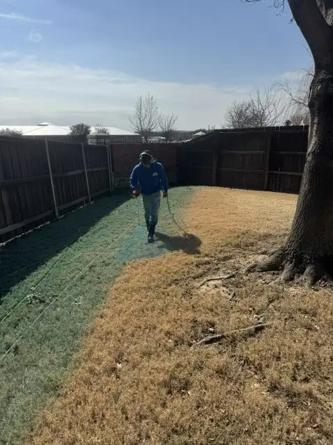 Fall Fertilization and Pre-Emergent in Fort Worth: How October Sets Up Next Spring's Lawn