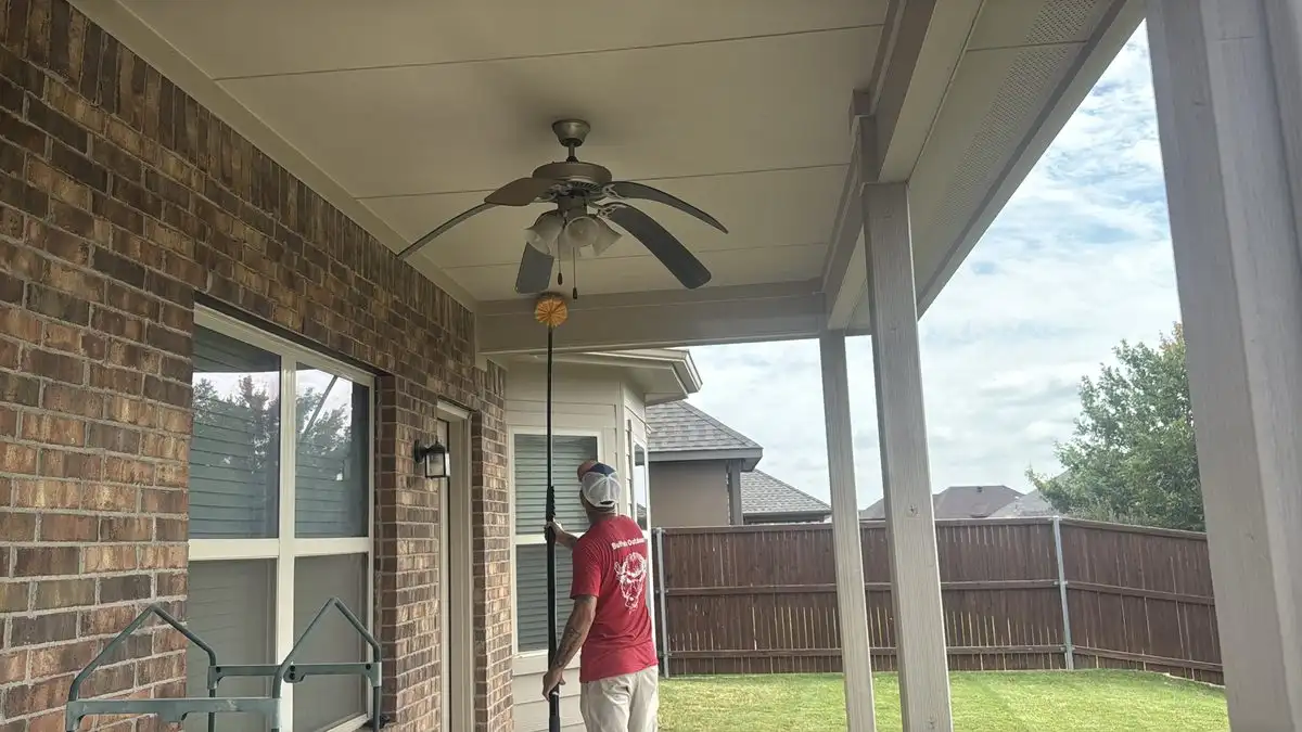 Spiders, Crickets, and Scorpions: What Fall Pest Control Looks Like in Fort Worth