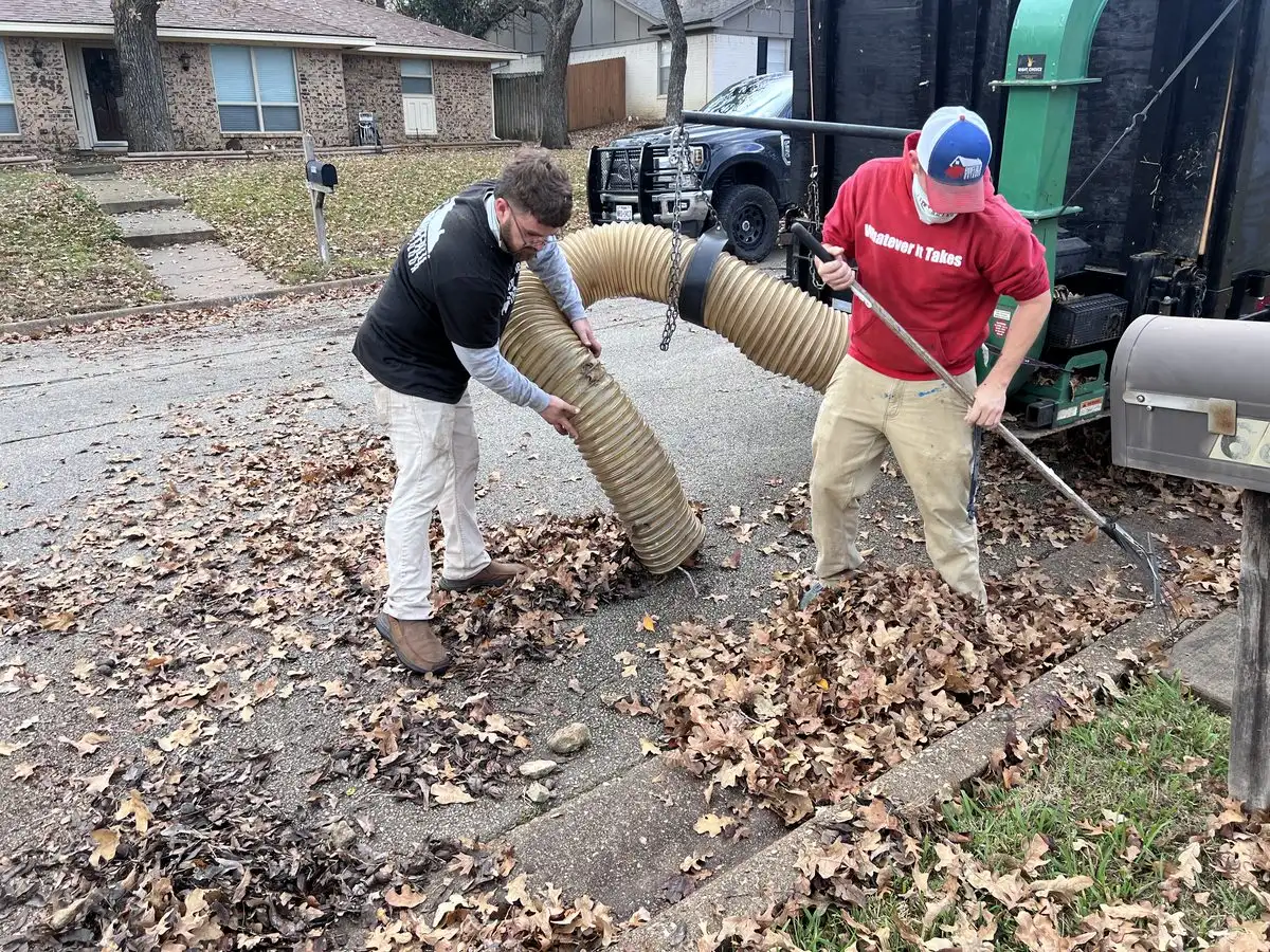 Fall Bed Cleanup and Fresh Mulch: Getting Fort Worth Landscape Beds Ready for Winter