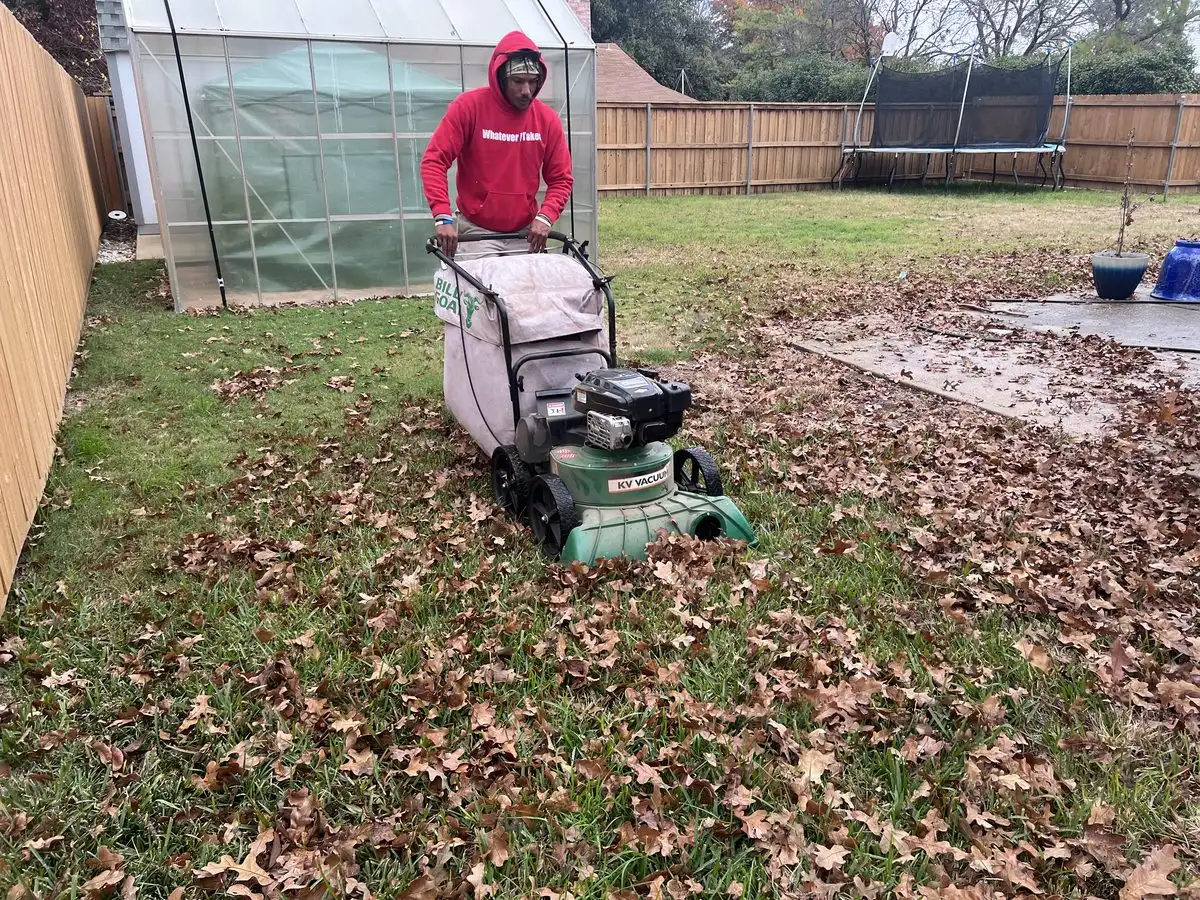 What Happens During a Professional Fall Cleanup, From the First Leaf to the Final Haul-Off
