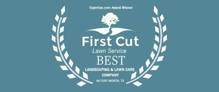 Best in Fort Worth Award from Expertise.com