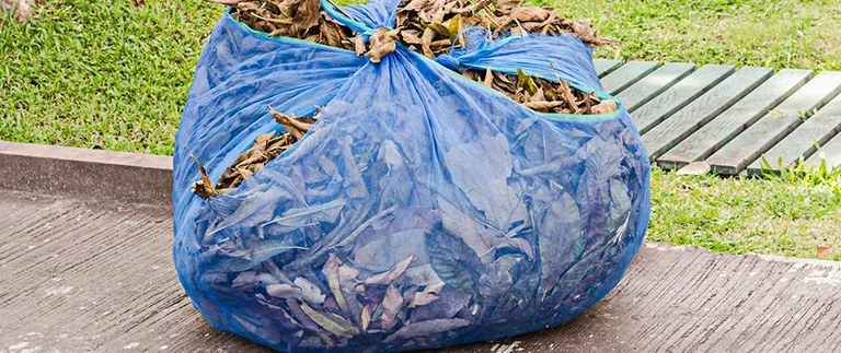 Blue bag full of leaves from a fall cleanup at the curb