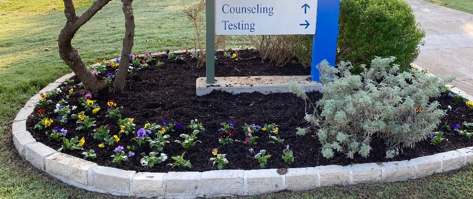 Fresh dark mulch and pansies in a stone-edged landscape bed in Fort Worth, TX
