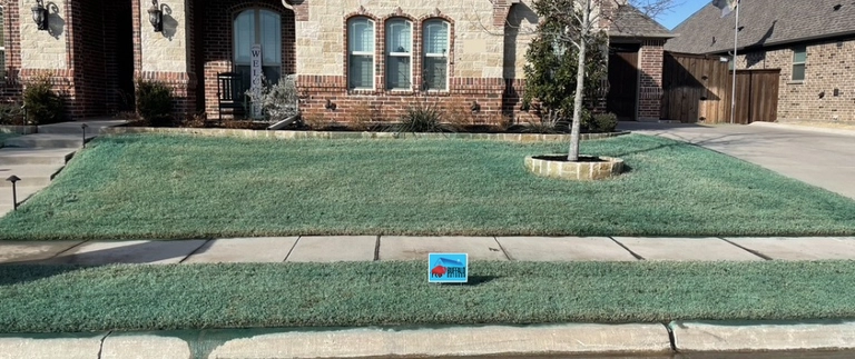 Freshly treated front lawn with green dye and yard sign at a Fort Worth home
