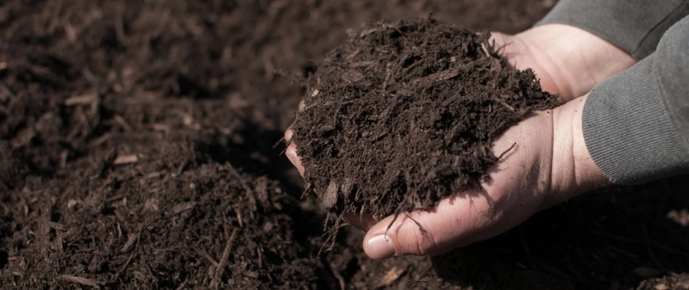 Hands holding dark mulch over a landscape bed in Benbrook, TX