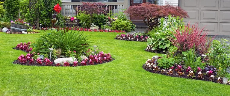 Manicured lawn with curved flower beds and landscaping at an Annetta, TX home