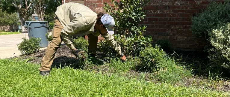Person pulling weeds from landscape beds