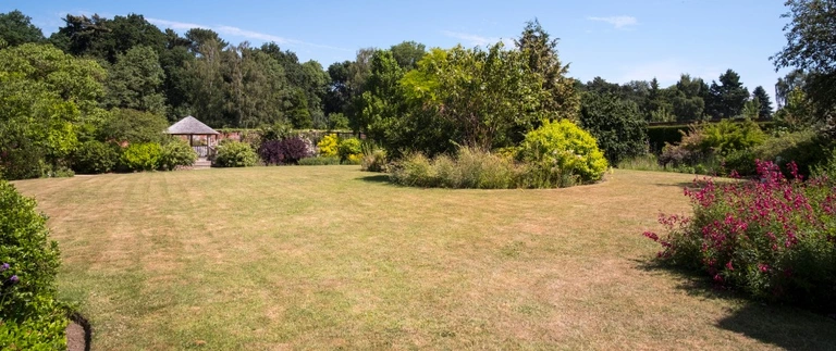 Large lawn with dry, patchy brown areas beside shaded garden beds and flowering shrubs