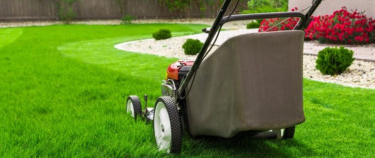 Push mower with grass bag cutting a healthy green lawn in Lake Worth, TX