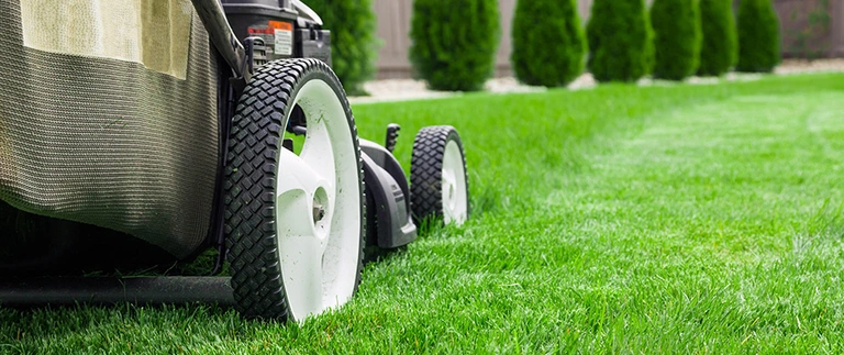 Push mower with grass bag on freshly mowed green lawn in Lakeside, TX