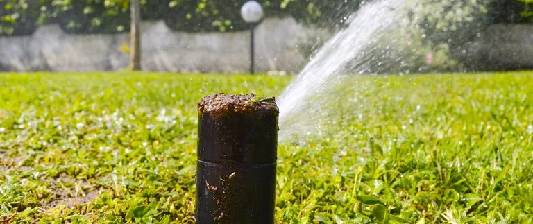 Pop-up sprinkler head spraying water sideways across a green Fort Worth lawn