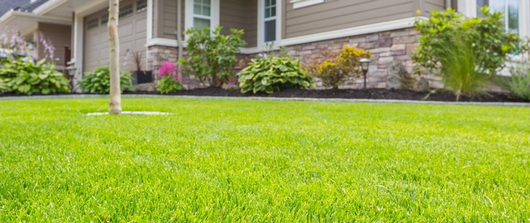 Well-maintained Fort Worth area backyard with healthy summer lawn framing the outdoor living space