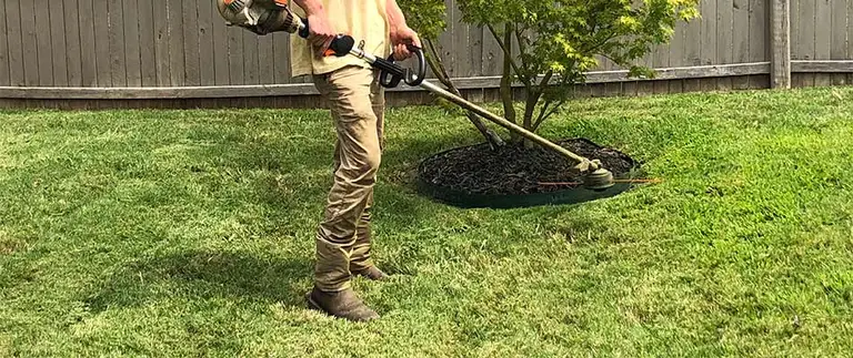 Lawn technician string-trimming around a mulched tree bed in a Fort Worth backyard