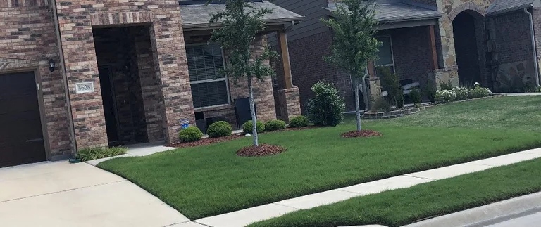 Freshly mowed green lawn with mulched trees and trimmed shrubs at River Oaks home