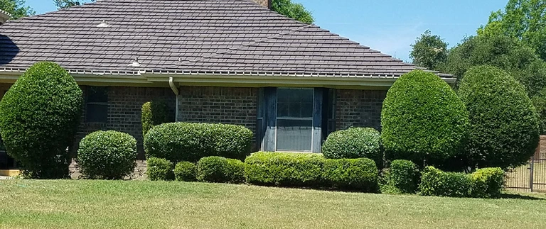 Neatly trimmed shrubs and mowed lawn at a brick home in Trophy Club, TX