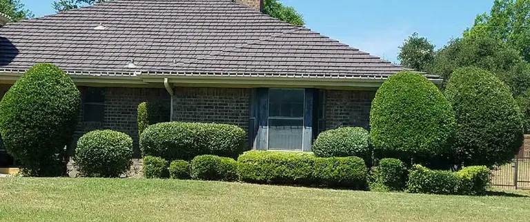 Neatly trimmed shrubs and hedges along a brick home in Fort Worth