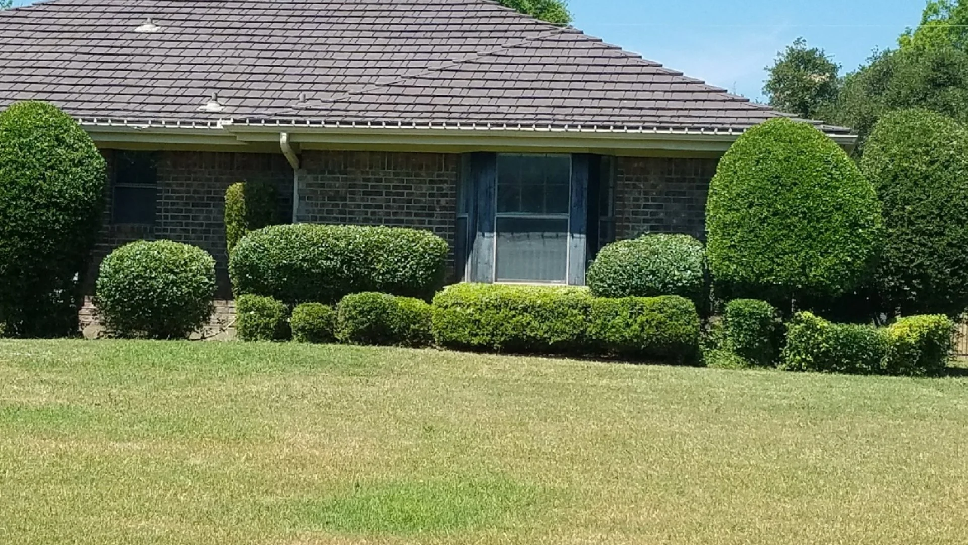 House with green lawn and shrubs in Fort Worth