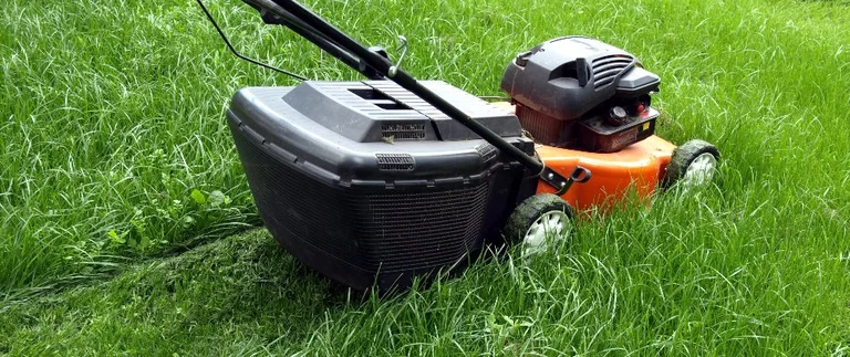 Lawn mower cutting tall grass to reduce flea and tick hiding spots