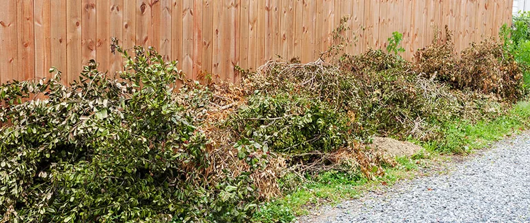 Pile of trimmed branches and yard debris along a wood fence after a spring cleanup