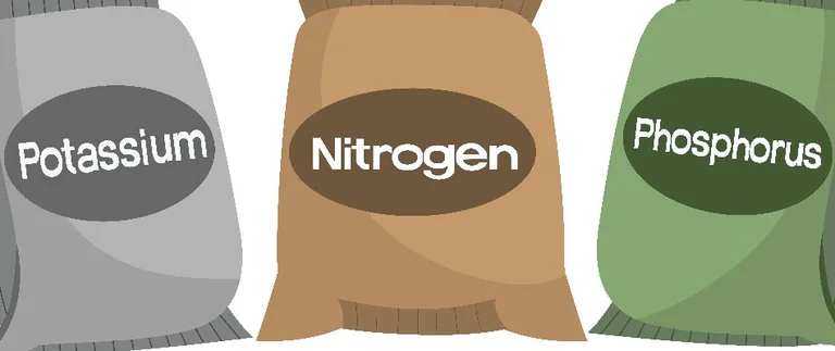Potassium, nitrogen, and phosphorus fertilizer nutrients for lawn care