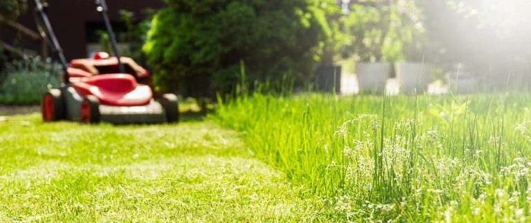 Red push mower cutting a Fort Worth lawn beside tall uncut grass