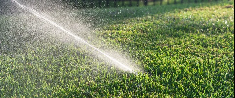 Pop-up sprinkler head spraying water across sunlit green lawn in Fort Worth