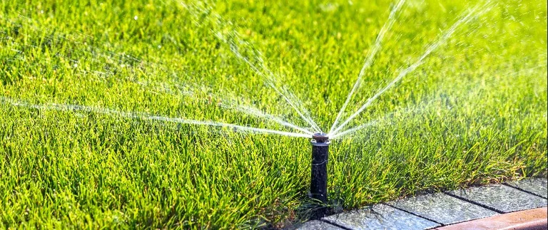 Pop-up sprinkler head watering green lawn beside paver edging in Annetta, TX