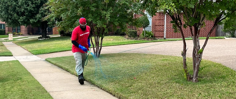 Lawn technician spraying weed control treatment on a Colleyville front yard