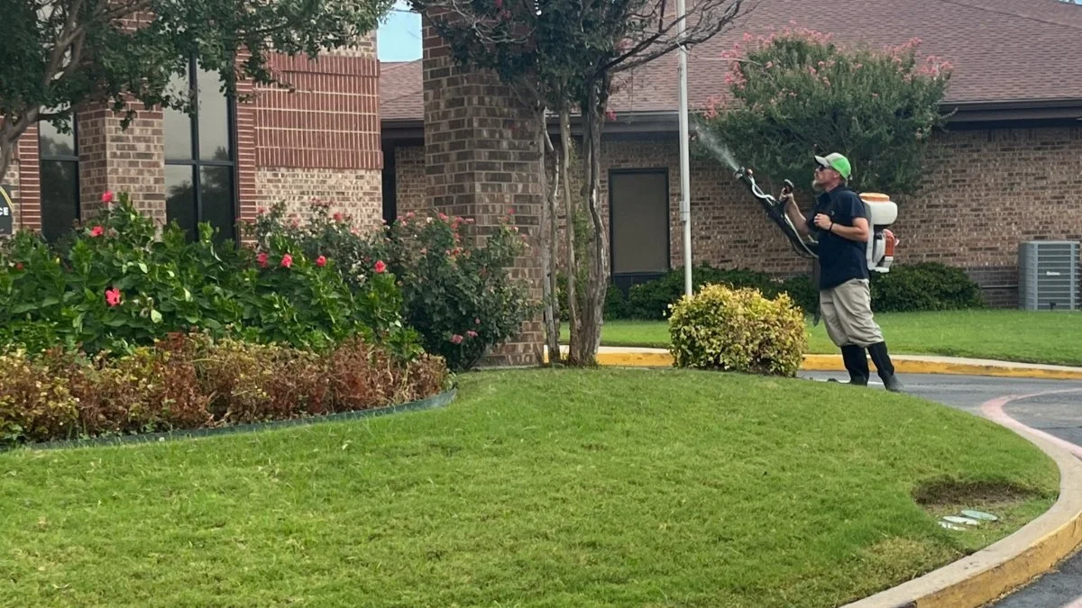 Technician using backpack mist blower to treat trees at a Fort Worth commercial property