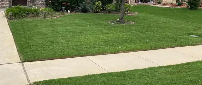 Freshly mowed green front lawn with crisp sidewalk edging in Fort Worth, TX