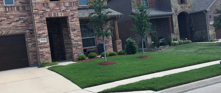 Freshly mowed green lawn with mulched beds and young trees at an Annetta, TX brick home
