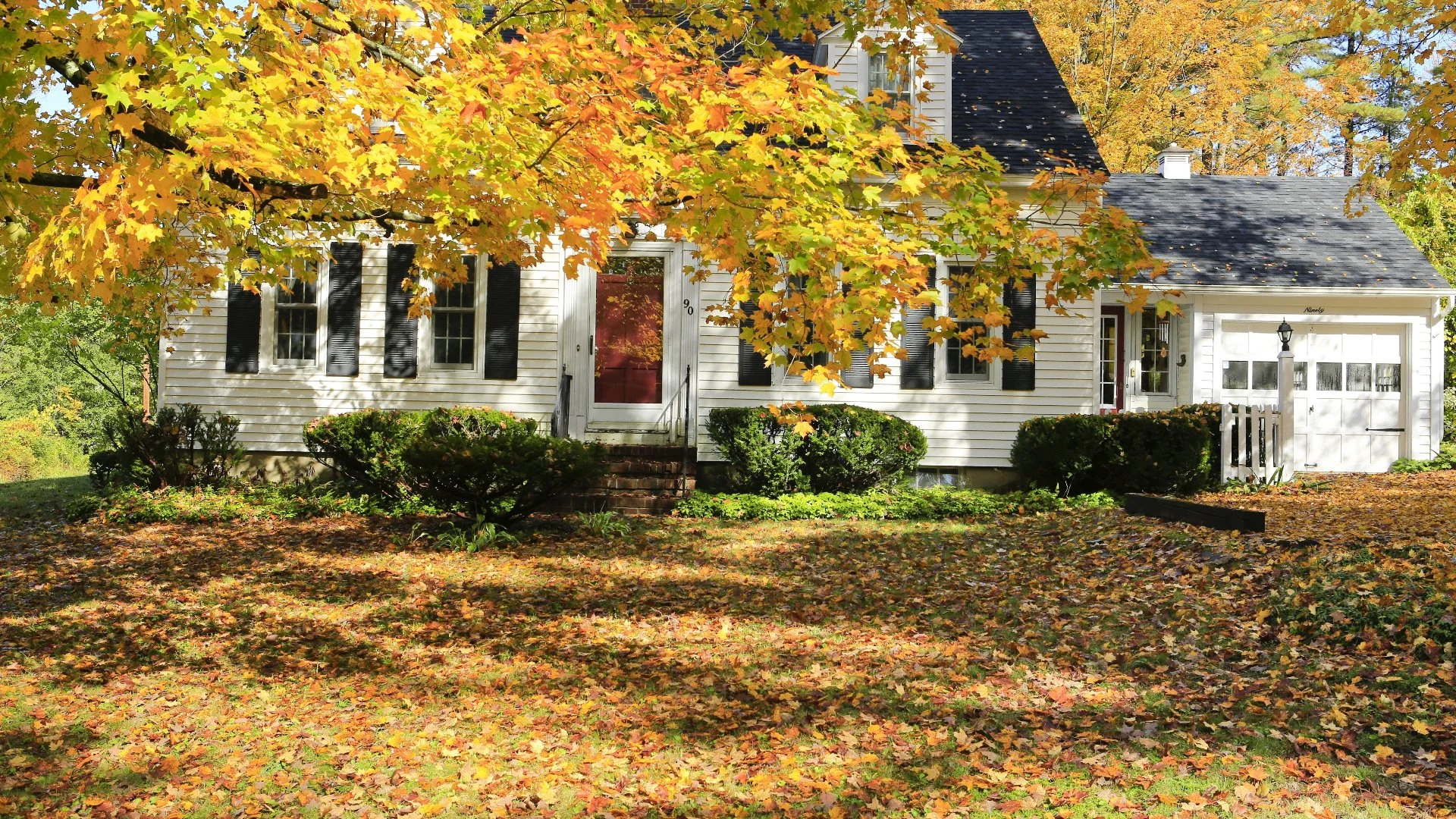 Fort Worth home with a yard full of fall leaves during the fall planting season