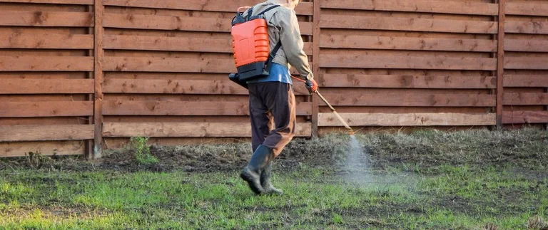 Professional applying insect control treatment to lawn