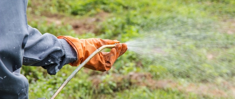 Weed control being applied to a lawn