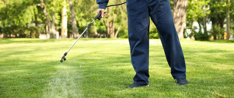 Technician spraying armyworm control treatment on a green lawn in Fort Worth